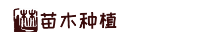 开云·官方版在线入口-开云(中国)